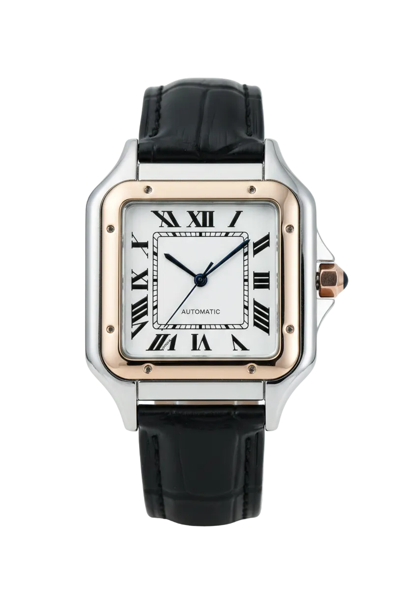 Men's Business Watch – Leather Strap | Aladinae