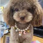 2022 New Pet Necklace Amazon Cat and Dog Bell Necklace Purely Handmade Dog Necklace Wholesale