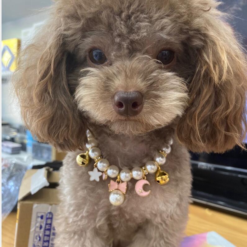 2022 New Pet Necklace Amazon Cat and Dog Bell Necklace Purely Handmade Dog Necklace Wholesale