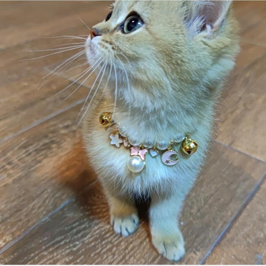2022 New Pet Necklace Amazon Cat and Dog Bell Necklace Purely Handmade Dog Necklace Wholesale