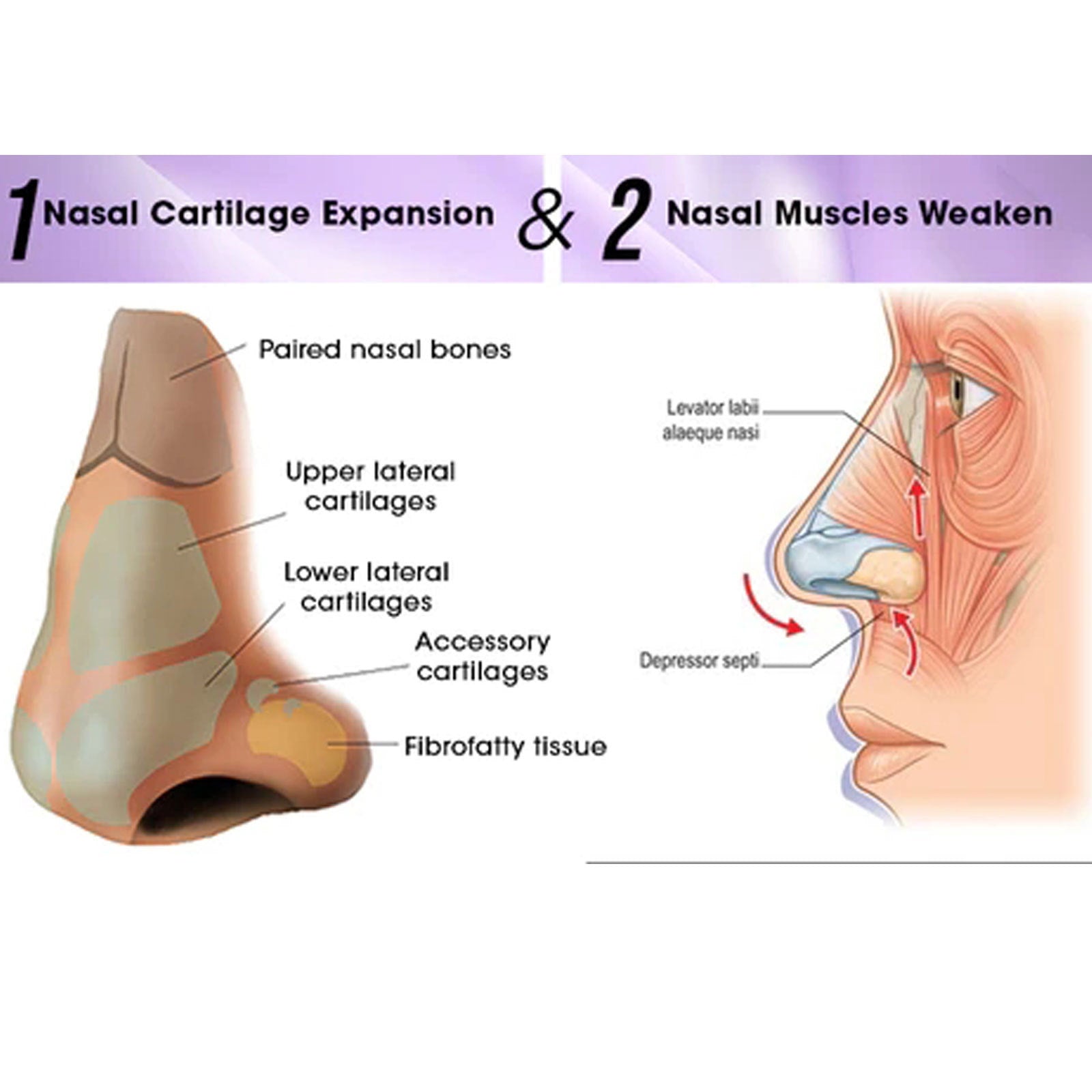 EELHOE nose care device nose shaping contour straight nose bridge high nose bridge beauty nose care device