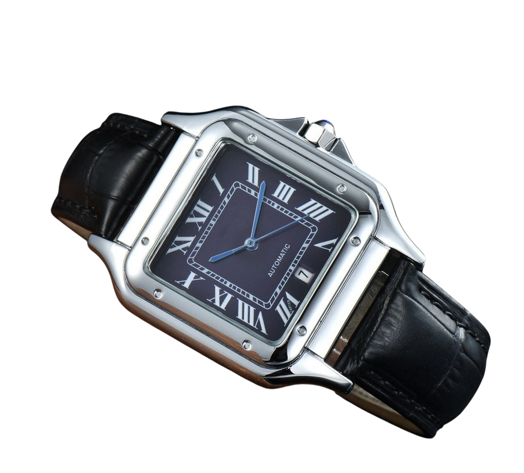 Men's Business Watch – Leather Strap | Aladinae