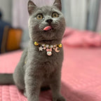2022 New Pet Necklace Amazon Cat and Dog Bell Necklace Purely Handmade Dog Necklace Wholesale