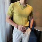 Men's Slim Fit Business Polo Knit Shirt | Aladinae